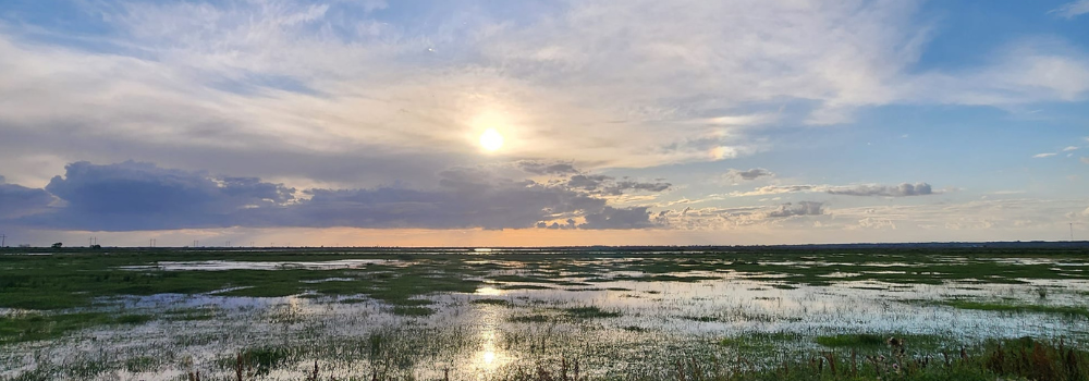 Evening Light: A Peaceful Glimpse Into South Louisiana