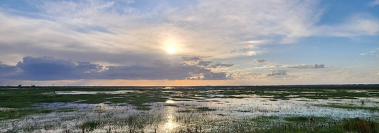 Evening Light: A Peaceful Glimpse Into South Louisiana