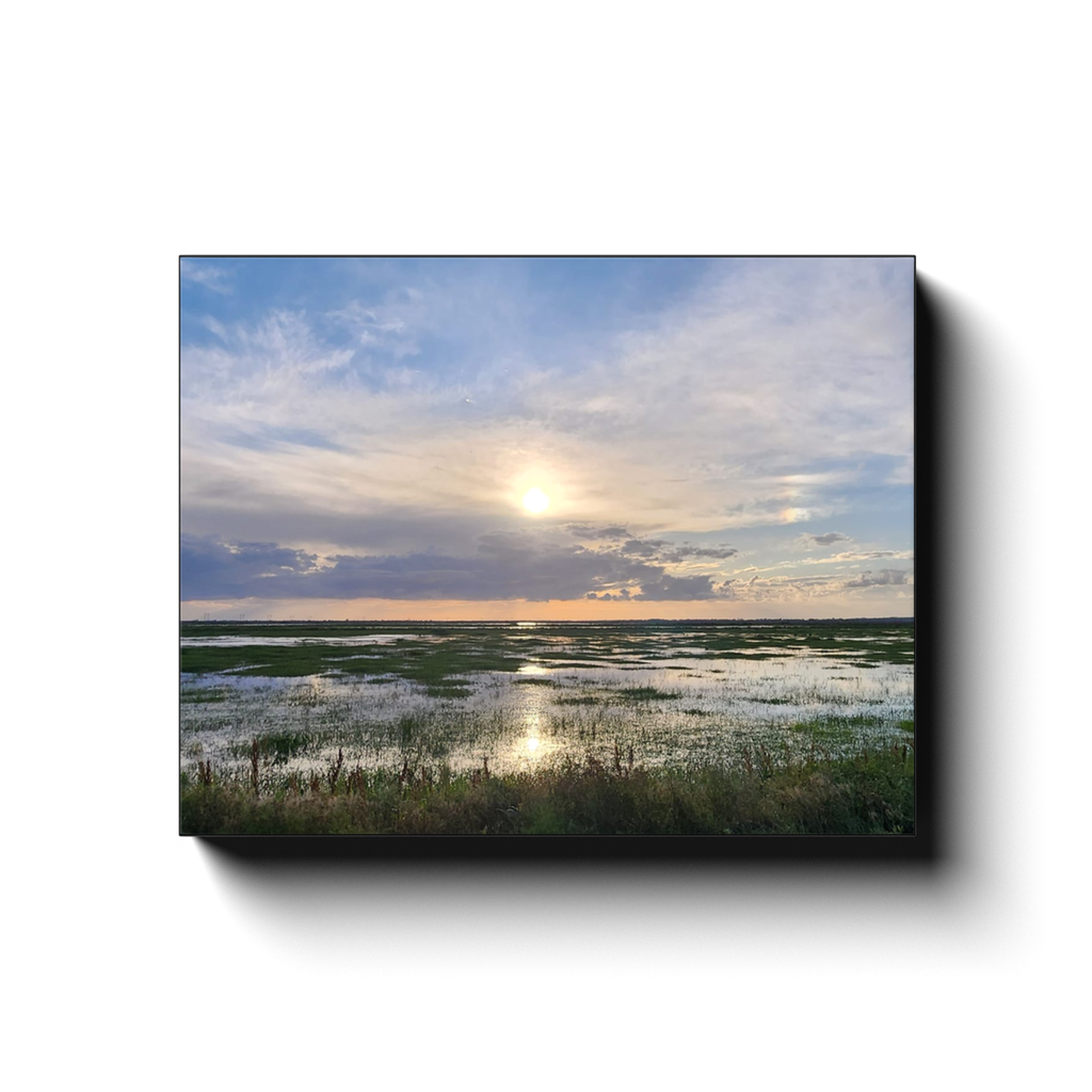 generated-proPreview-5