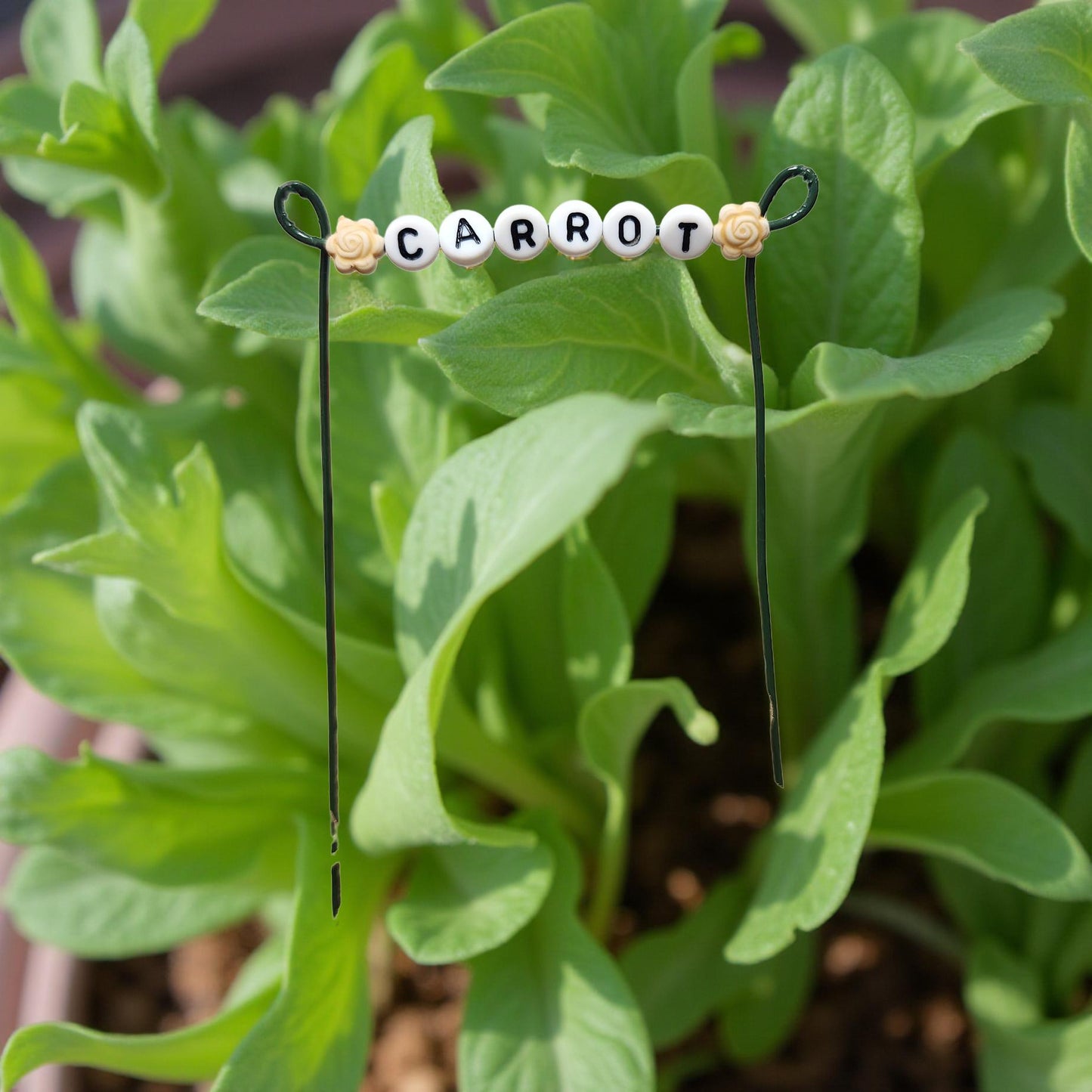 Handmade Plant ID Signs – Rustic Markers for Indoor Plants, Greenhouses & Sheltered Spaces - Cypress & Sage - Vermilion